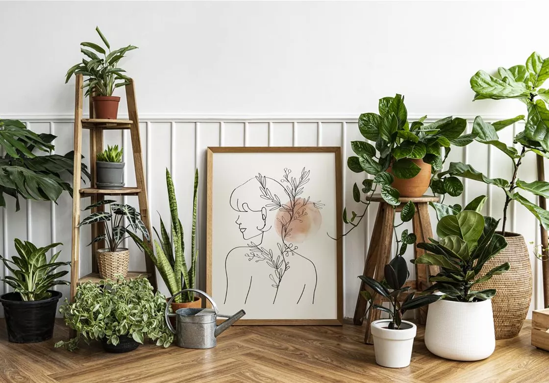 picture-frame-by-a-houseplant-corner-on-a-parquet-floor.jpg