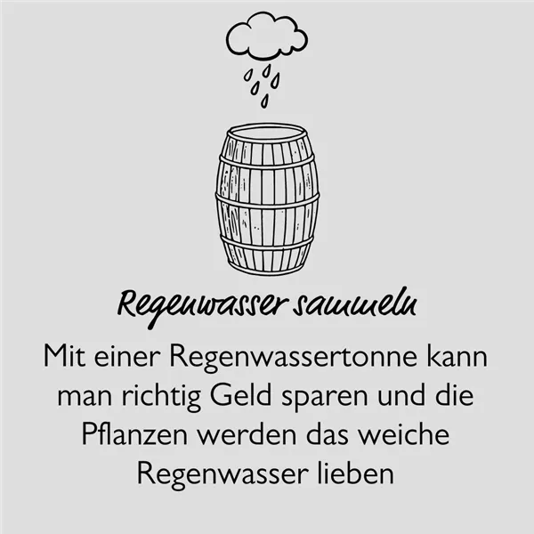 regenwasser.png