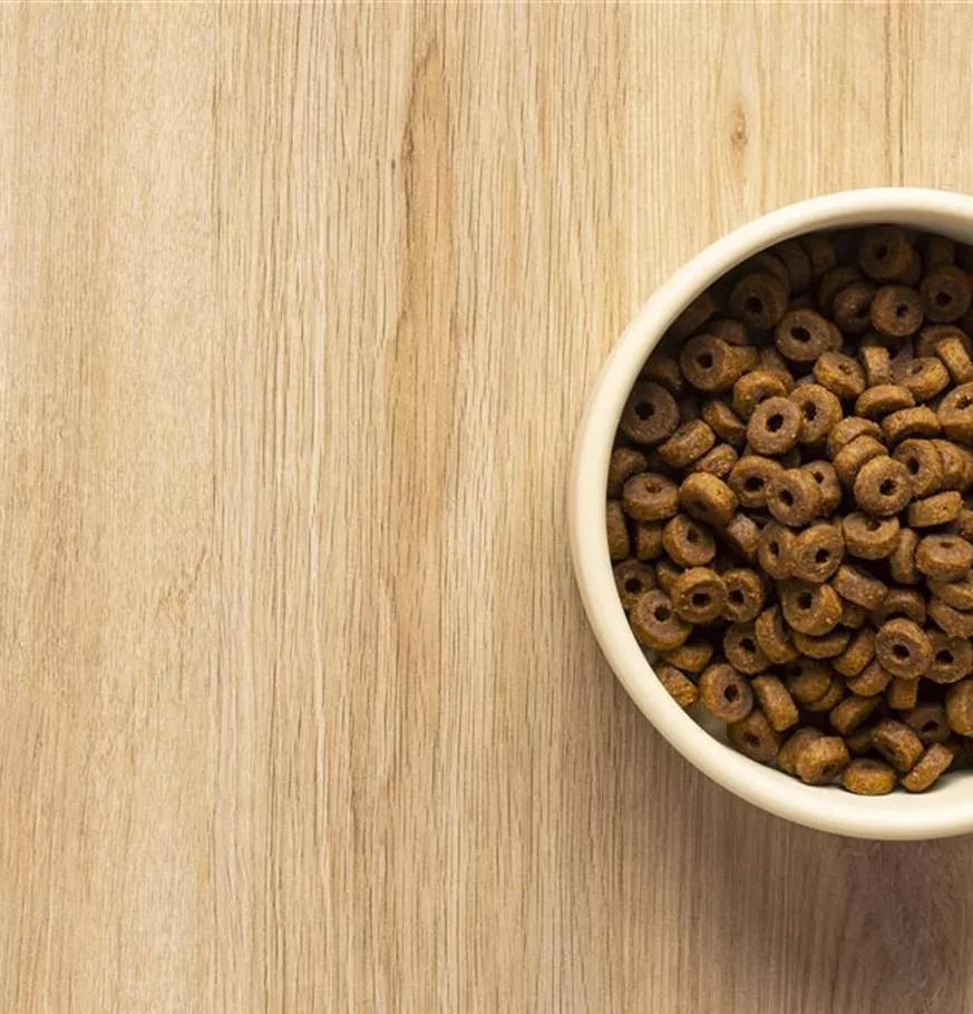 still-life-pet-food-assortment.jpg