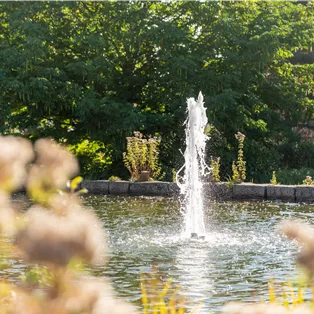 Gartenteich mit Wasserspiel