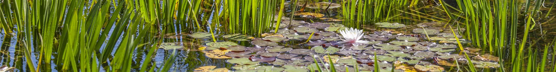 GS503632-0-1209-5616-1203.jpg GS503632-0-1209-5616-1203.jpg