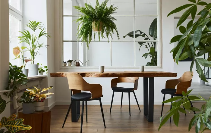 stylish-and-botany-interior-of-dining-room-with-design-craft-wooden-table.jpg