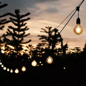 low-angle-view-illuminated-light-hanging-tree.jpg