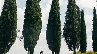 look-from-afar-lovely-wedding-couple-kissing-tall-ita.jpg