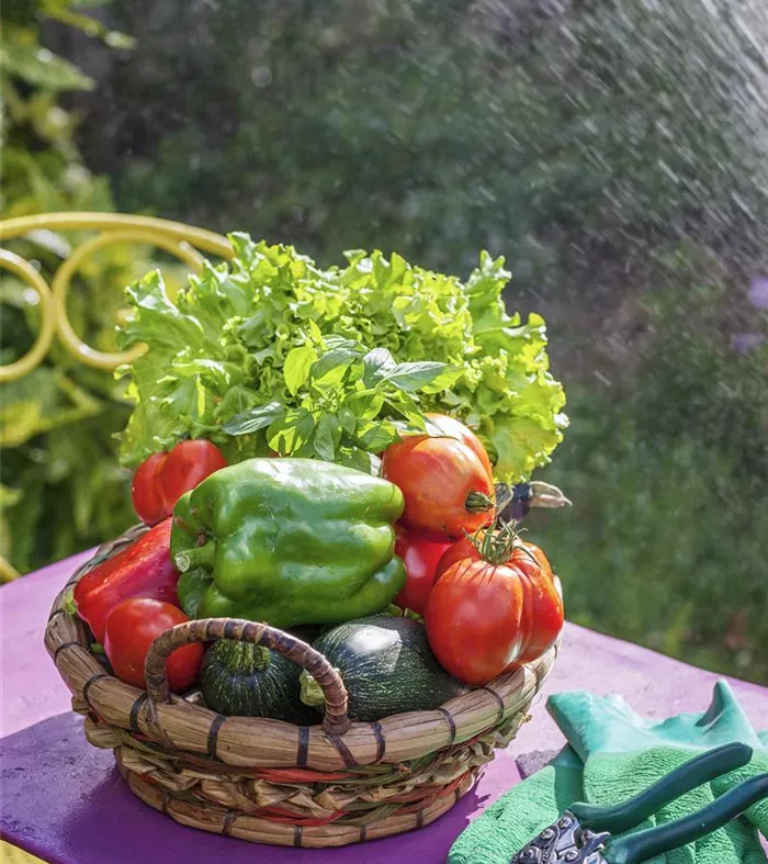 vegetables-table-garden.jpg