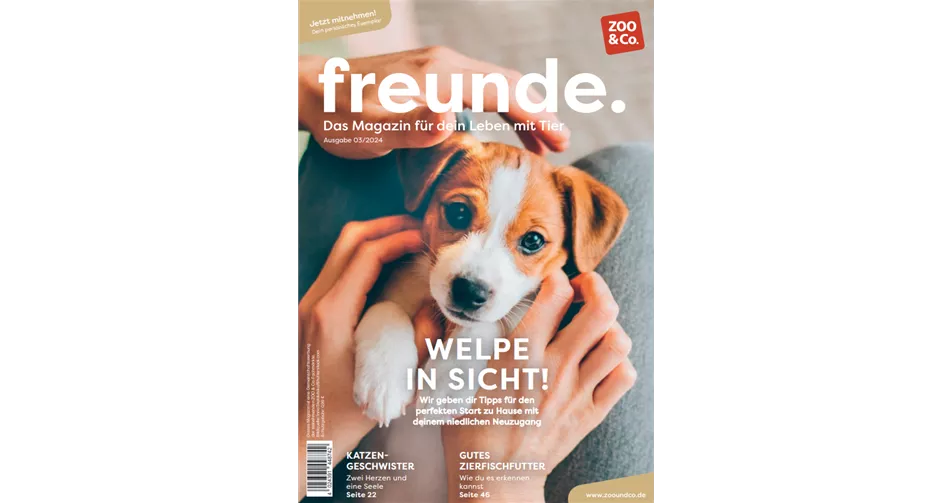 Freunde_Magazin_3_24.png