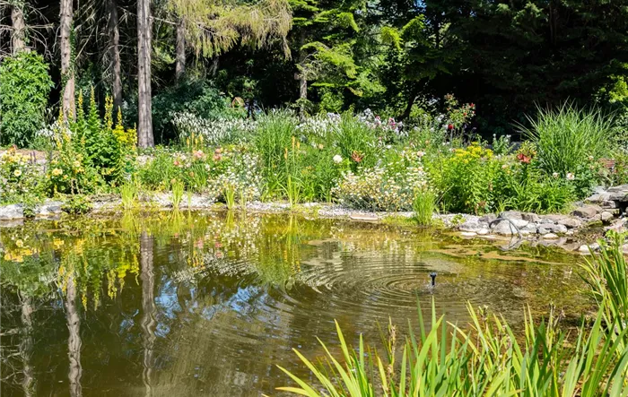 Gartenambiente mit Teich