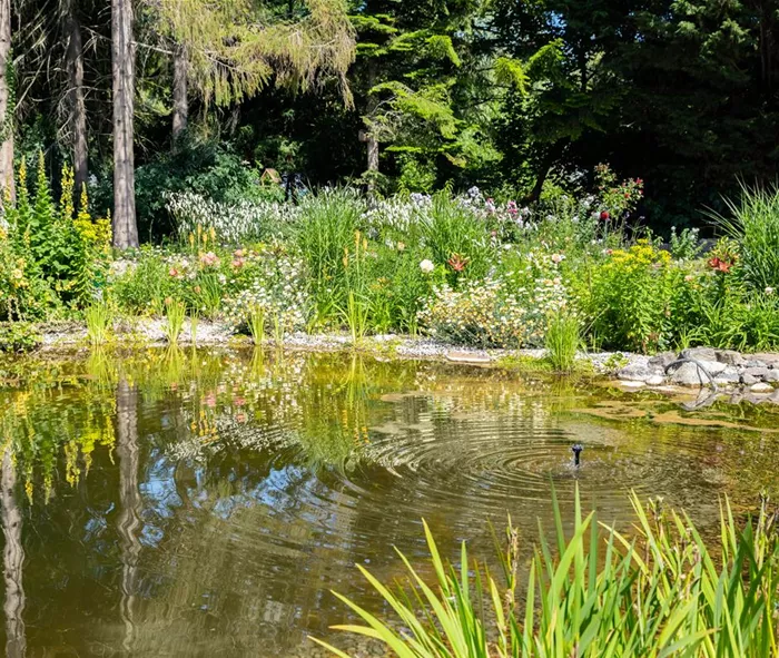 Gartenambiente mit Teich