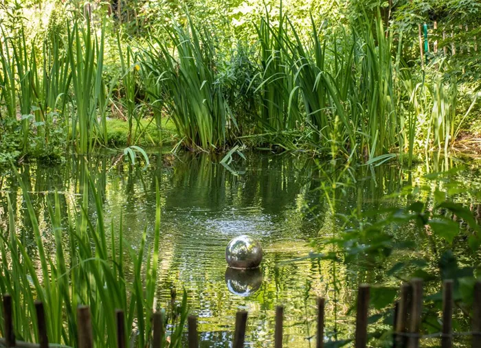 Teich im Garten