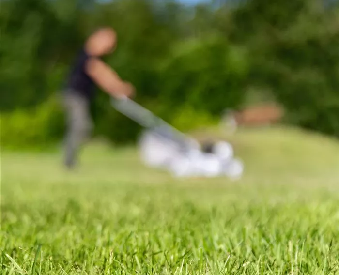 Gartenarbeit - gemähter Rasen