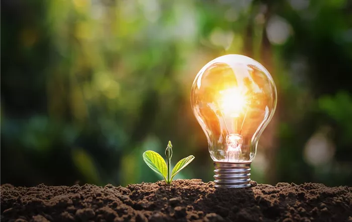 lightbulb-with-small-plant-on-soil-and-sunshine-concept-saving-energy-in-nature.jpg