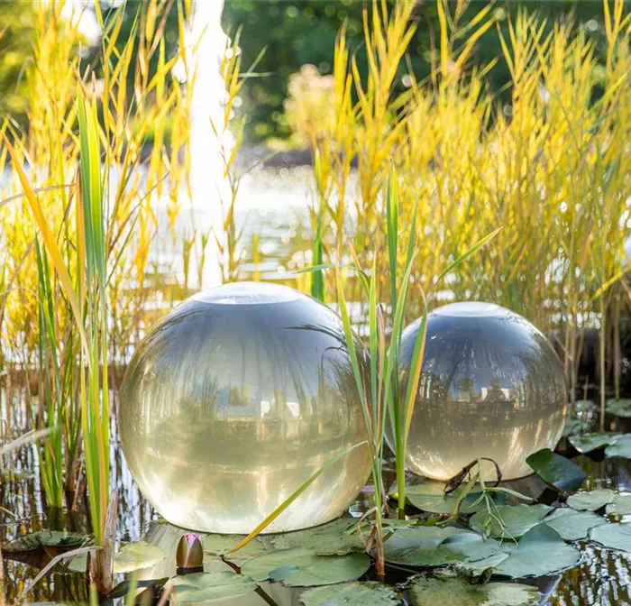 Gartenteich im Herbst